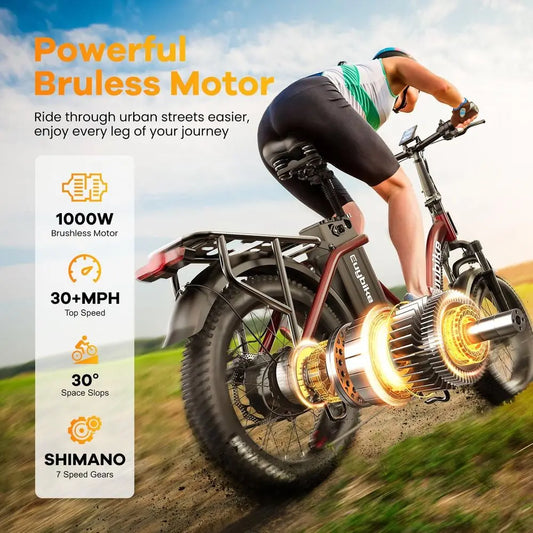 Luxury Adult Folding Electric Bike: 1000W Motor, 48V 20AH Battery, 30MPH, 80 Miles Range, 20 Fat Tires, 7-Speed