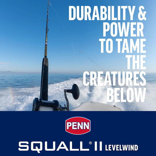 6'6" Saltwater Fishing Rod and Reel Combo, 1-Piece Design, Black/Gold Finish