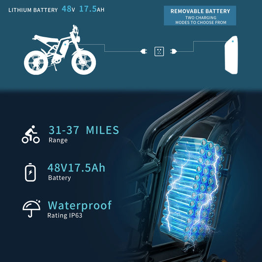 Electric Mountain Bike 750W 48V 17.5Ah 45Mile Class 3 E-Bike, 20" Fat Tire All-Terrain Bike with LCD Display UL Certified