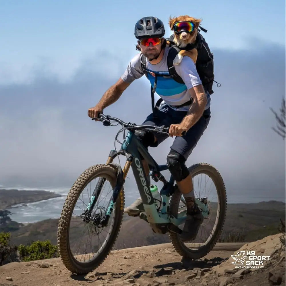 Compact Lunar Rock Dog Carrier - Adjustable Backpack Style for Dogs 13-16” Back Length with Padded Hip Belt