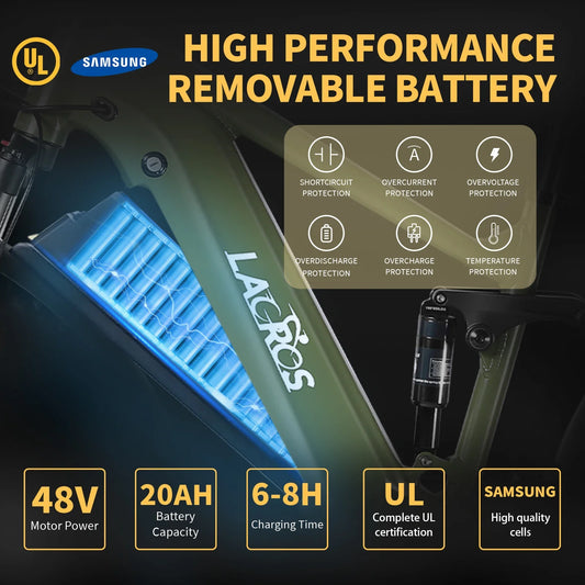 Lacros Thunder adult E-bike,750W city ebike,48V20AH Electric Bicycle,26 Fat Tire E-Mountain bike