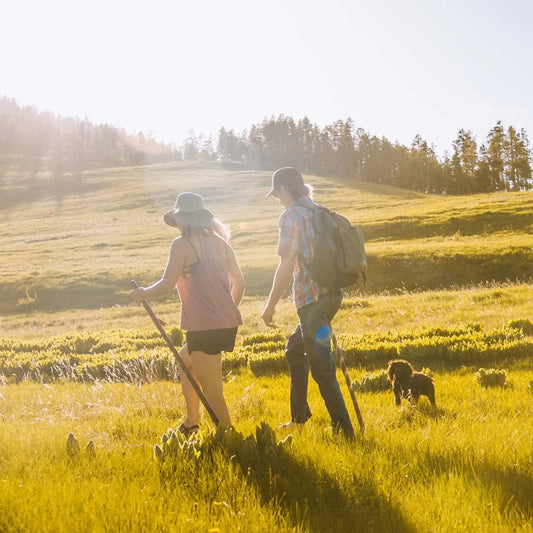 Handcrafted Oak Walking Stick with Crook Handle, 58" Red Wood Cane for Men & Women