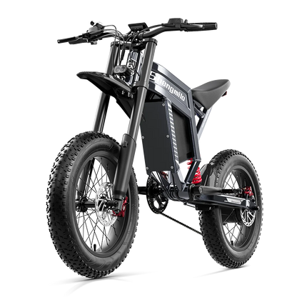 Shengmilo S900 Adult Electric Bicycle 1500W 60V30AH Battery Mountain Electric Bike 20 inch Fat Tire Ebike Electric Dirt Bike