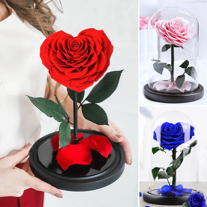 Heart Shaped Preserved Rose Beauty and The Beast Eternal Rose In Glass Dome Wedding Forever Flowers Valentines Christmas Gifts