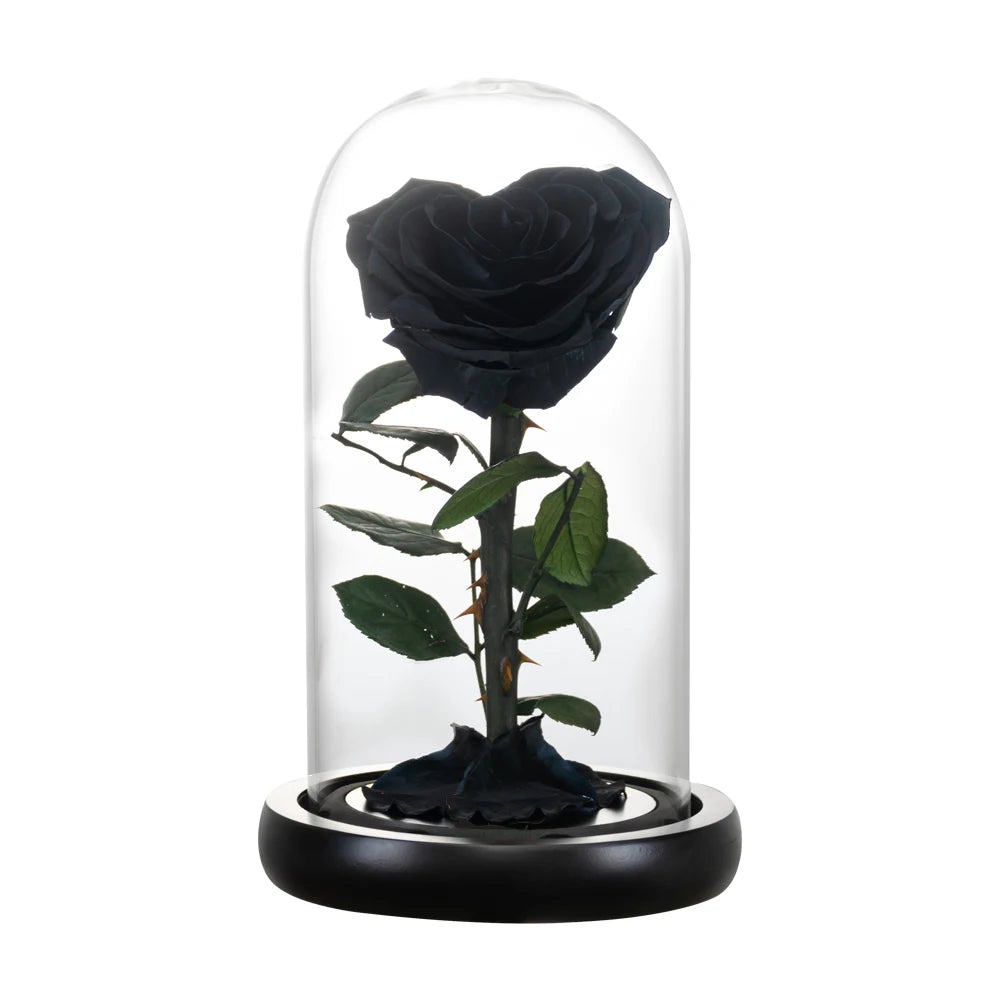 Heart Shaped Preserved Rose Beauty and The Beast Eternal Rose In Glass Dome Wedding Forever Flowers Valentines Christmas Gifts