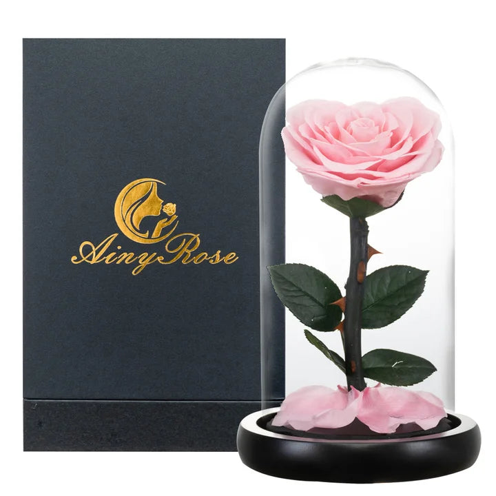 Heart Shaped Preserved Rose Beauty and The Beast Eternal Rose In Glass Dome Wedding Forever Flowers Valentines Christmas Gifts