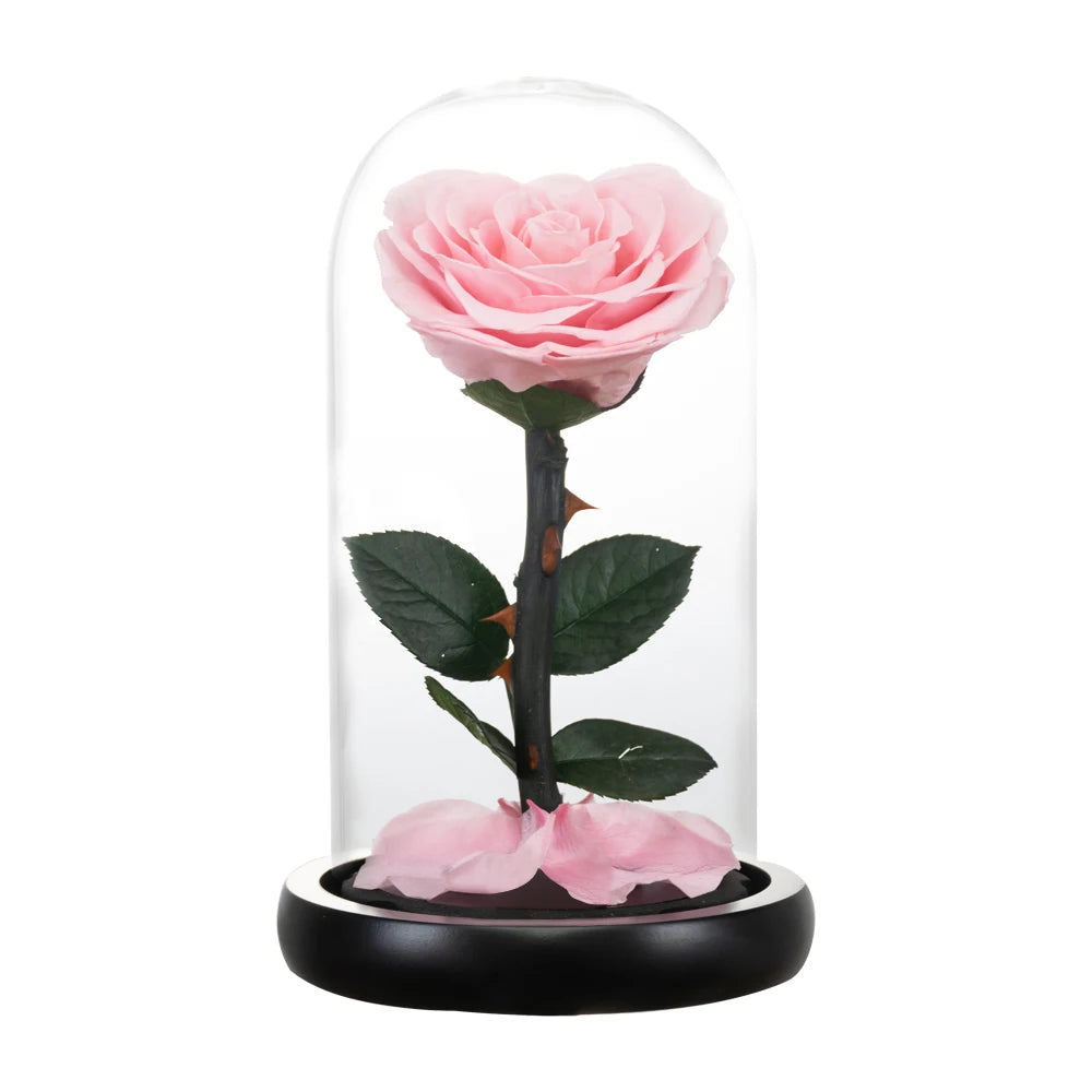 Heart Shaped Preserved Rose Beauty and The Beast Eternal Rose In Glass Dome Wedding Forever Flowers Valentines Christmas Gifts