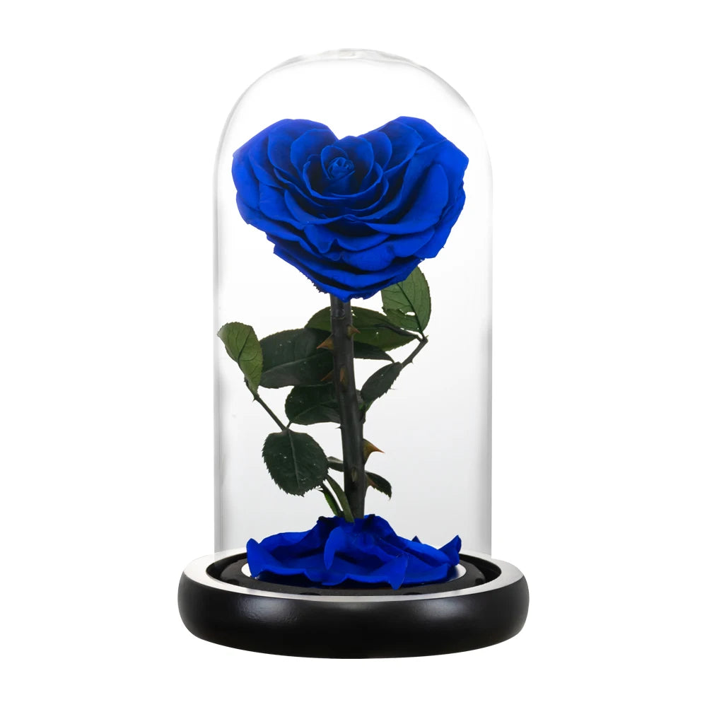 Heart Shaped Preserved Rose Beauty and The Beast Eternal Rose In Glass Dome Wedding Forever Flowers Valentines Christmas Gifts