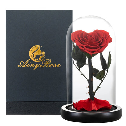 Heart Shaped Preserved Rose Beauty and The Beast Eternal Rose In Glass Dome Wedding Forever Flowers Valentines Christmas Gifts