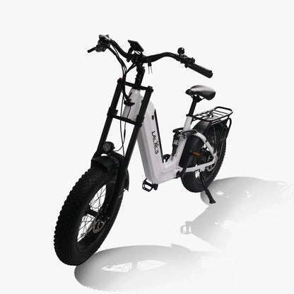 Lacros Cyclone adult E-bike，750W city ebike，48V20AH Electric Bike，20 Fat Tire E-Mountain bike