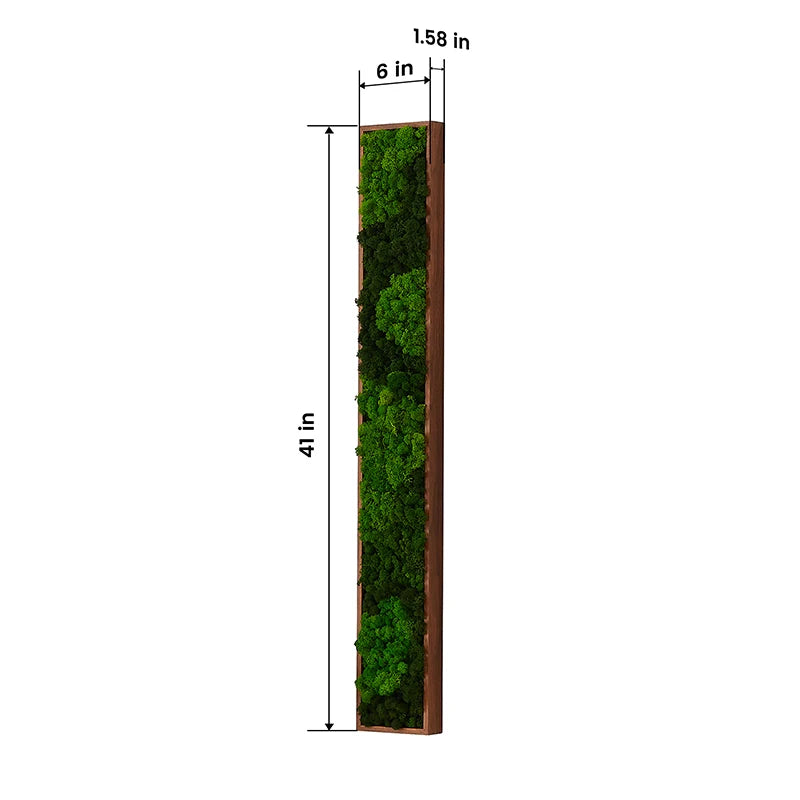 Wall Art,Moss Wall Decor,Rectangle Framed ,Home Decor,Decorations for Living Room,Room Decor Aesthetic,Natural Life Gifts