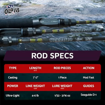 High Performing BFS Fishing Rod - 40 Ton Graphite Blank with EVA Grip, D-1 Sea Guides gs - Premium One-Piece Fishing Rod for