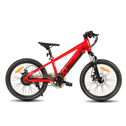 JOYSTAR Electric Bike for Kids Teens Ages 7+ with 250W Motor, 15 Miles 15MPH Electric Mountain Bicycle Safe Mini E bikes