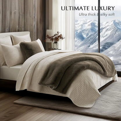 Luxury Soft Faux Chinchilla Fur Throw Blanket, Warm Heavy Winter Blanket for Couch and Bed, Reversible Velvet, 50x60 Inches