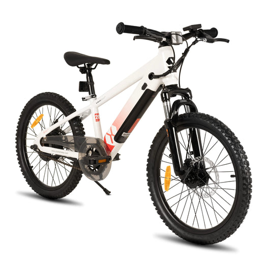 JOYSTAR Electric Bike for Kids Teens Ages 7+ with 250W Motor, 15 Miles 15MPH Electric Mountain Bicycle Safe Mini E bikes