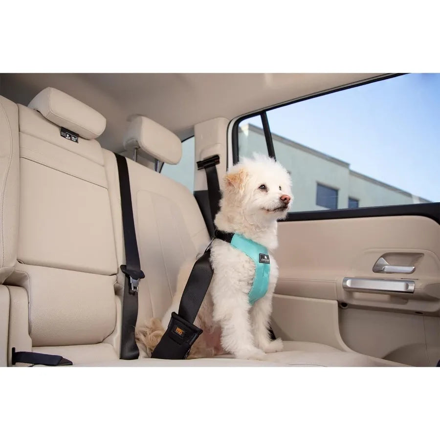 Clickit Sport Plus Crash-Tested and Safety Certified Car Seat Belt Harness for Dogs in Extra Large Size Perfect for Long-Distan