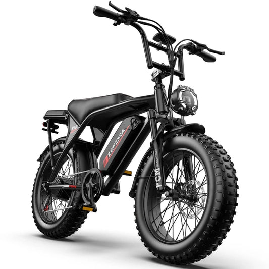 2000w Electric Bicycle,48v 20 Inch Ebike,adjustable Front Brake Seat,for Both Men Women Snowy Conditions Cycling Electric Bike