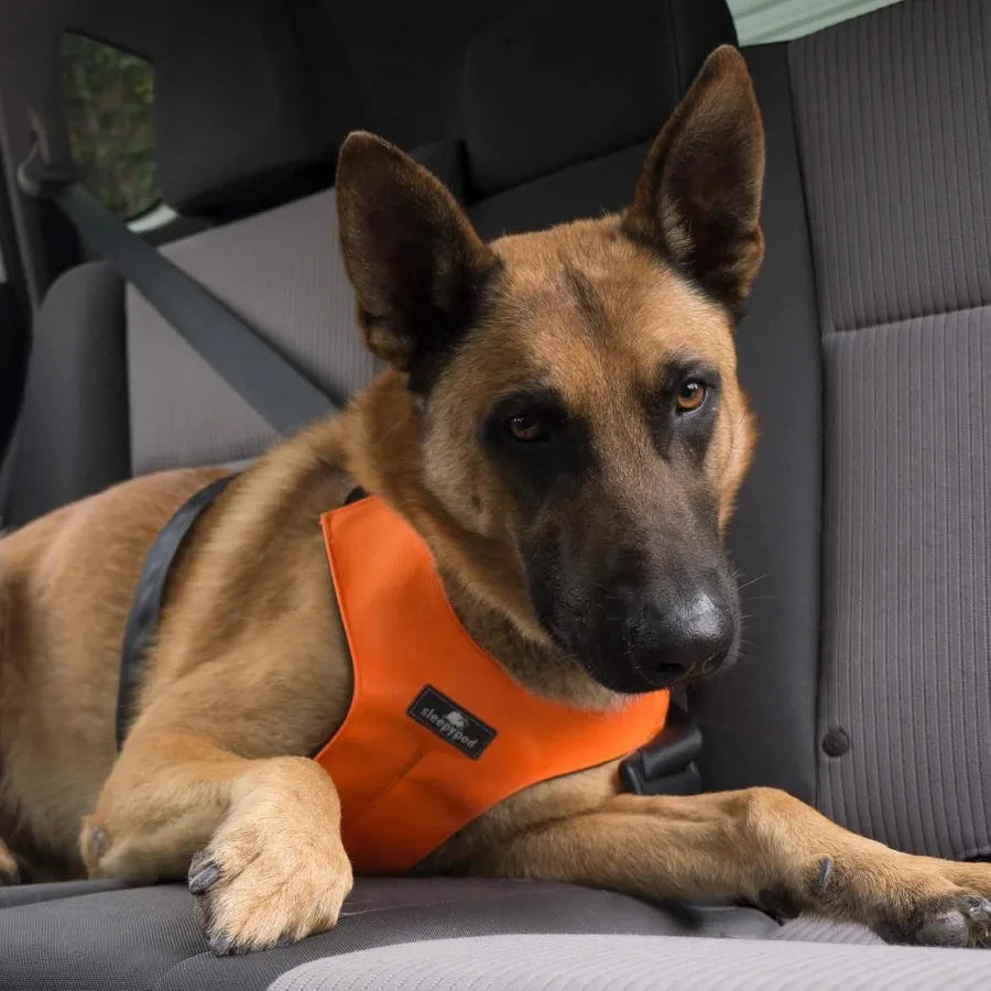 Clickit Sport Plus Crash-Tested and Safety Certified Car Seat Belt Harness for Dogs in Extra Large Size Perfect for Long-Distan