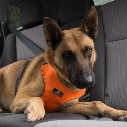 Clickit Sport Plus Crash-Tested and Safety Certified Car Seat Belt Harness for Dogs in Extra Large Size Perfect for Long-Distan