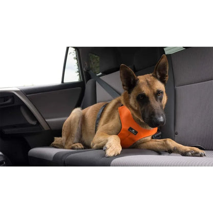 Clickit Sport Plus Crash-Tested and Safety Certified Car Seat Belt Harness for Dogs in Extra Large Size Perfect for Long-Distan