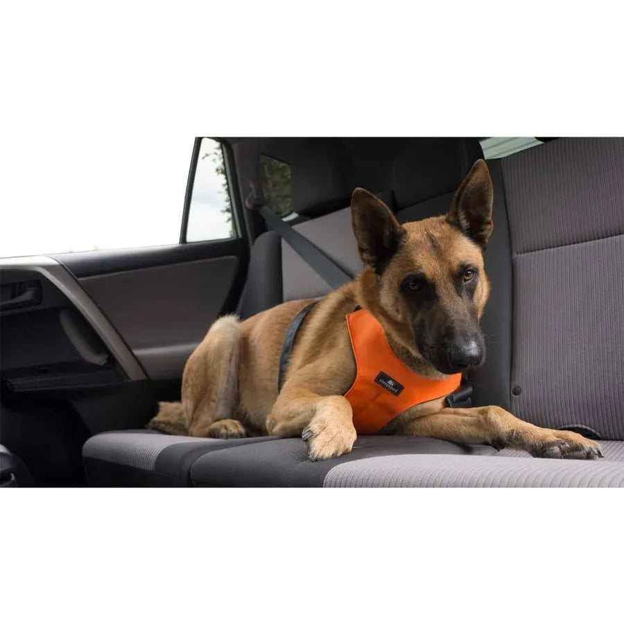 Clickit Sport Plus Crash-Tested and Safety Certified Car Seat Belt Harness for Dogs in Medium Size Olive Green Ideal for Secure