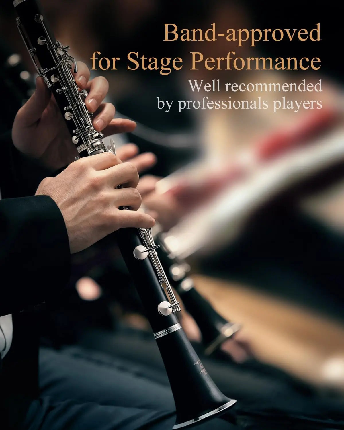 Upgraded Ebonite Bb Clarinet with Silver-Plated Keys, 2 Barrels, Hard Case, and Cleaning Kit for Intermediate Players