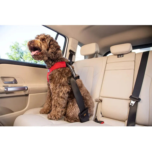 Clickit Sport Plus Crash-Tested and Safety Certified Car Seat Belt Harness for Dogs in Extra Large Size Perfect for Long-Distan