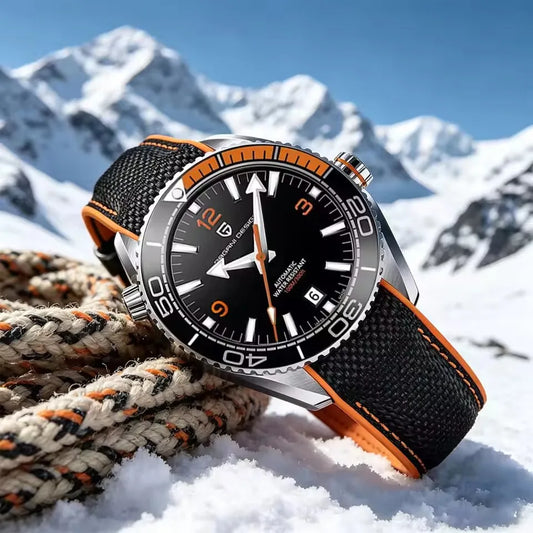 Pagani Design Luxury Brand Men's Watch Sapphire Luxury Mechanical Watch Japanese Movement Stainless Steel Waterproof Men's Watch