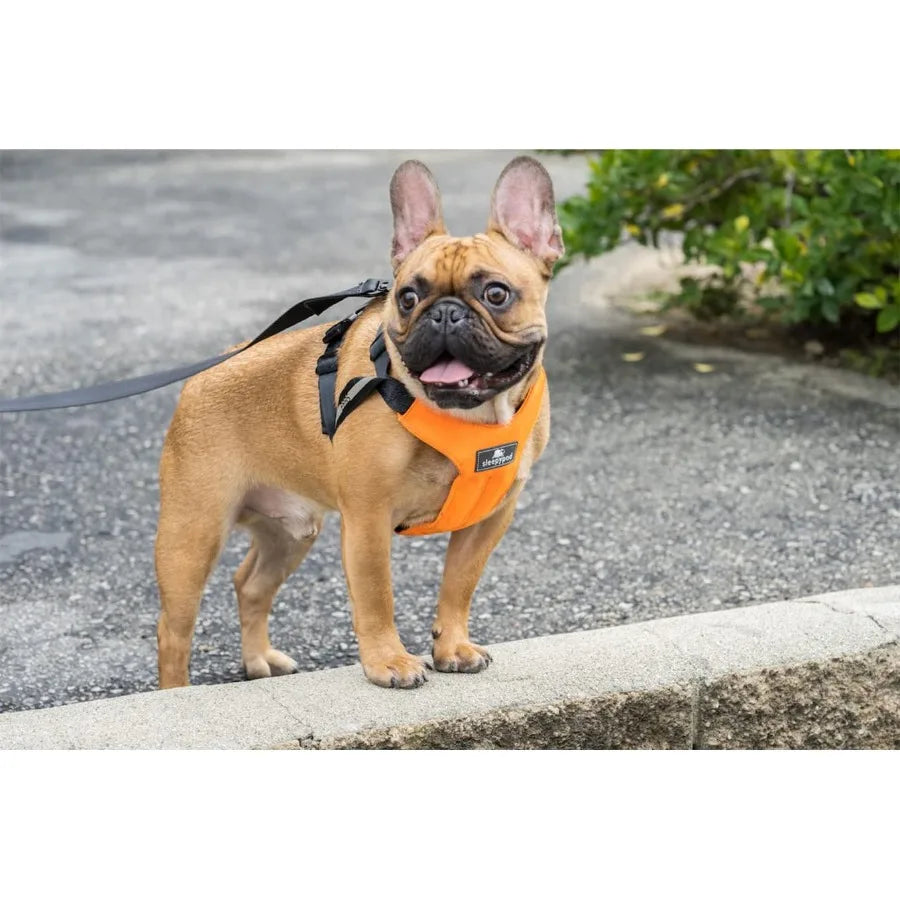 Clickit Sport Plus Crash-Tested and Safety Certified Car Seat Belt Harness for Dogs in Extra Large Size Perfect for Long-Distan