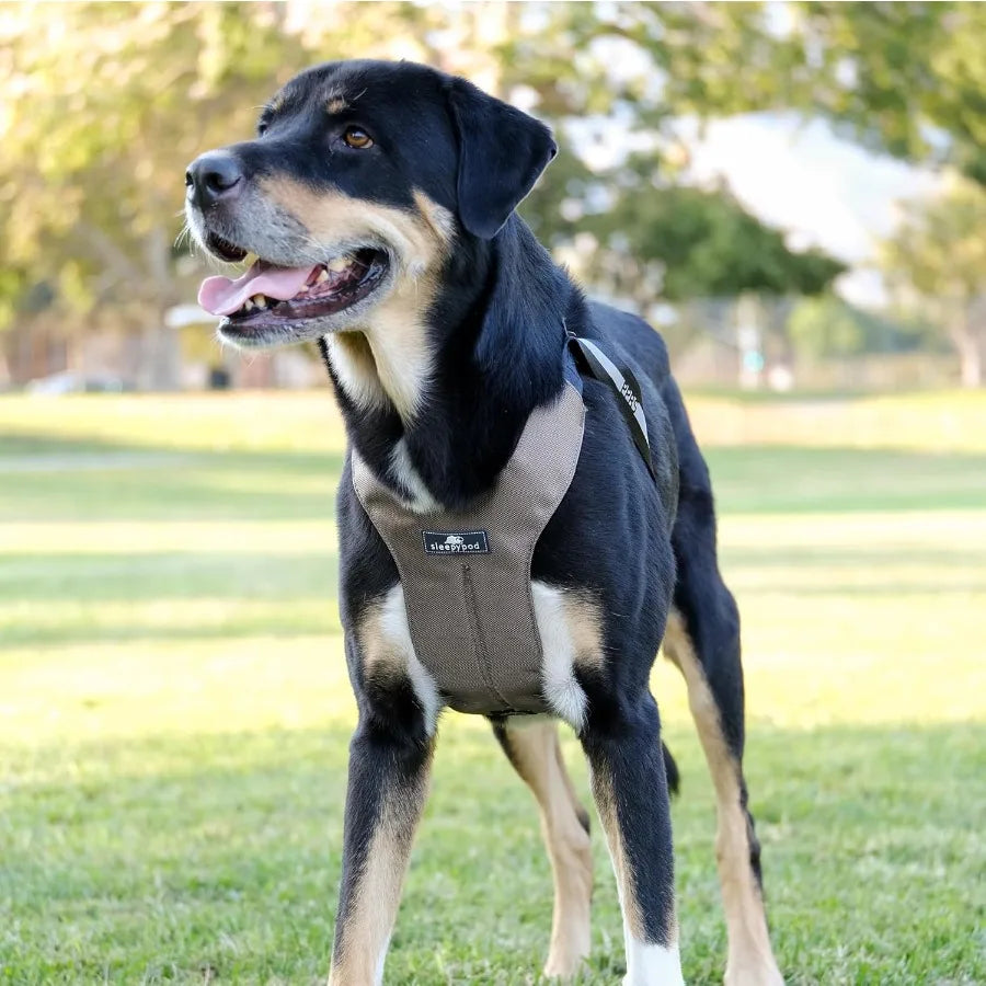 Clickit Sport Plus Crash-Tested and Safety Certified Car Seat Belt Harness for Dogs in Medium Size Olive Green Ideal for Secure