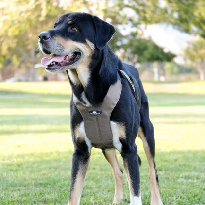 Clickit Sport Plus Crash-Tested and Safety Certified Car Seat Belt Harness for Dogs in Medium Size Olive Green Ideal for Secure