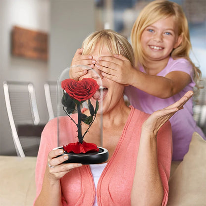 Heart Shaped Preserved Rose Beauty and The Beast Eternal Rose In Glass Dome Wedding Forever Flowers Valentines Christmas Gifts