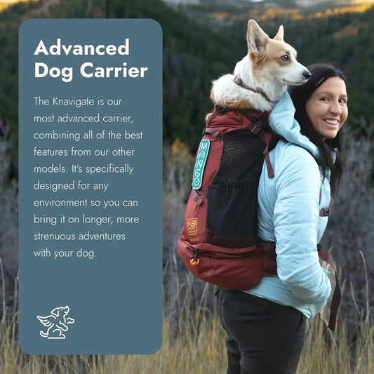 Compact Lunar Rock Dog Carrier - Adjustable Backpack Style for Dogs 13-16” Back Length with Padded Hip Belt