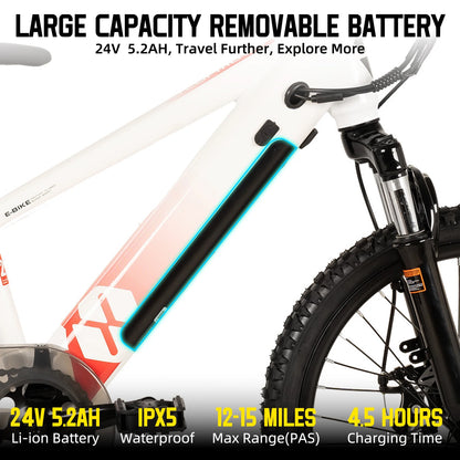 JOYSTAR Electric Bike for Kids Teens Ages 7+ with 250W Motor, 15 Miles 15MPH Electric Mountain Bicycle Safe Mini E bikes