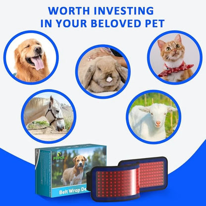 Red Infrared Light Therapy Belt for Pets Pain Relief 660&850nm wavelength Portable Cold Laser Therapy Device for Dogs Arthritis