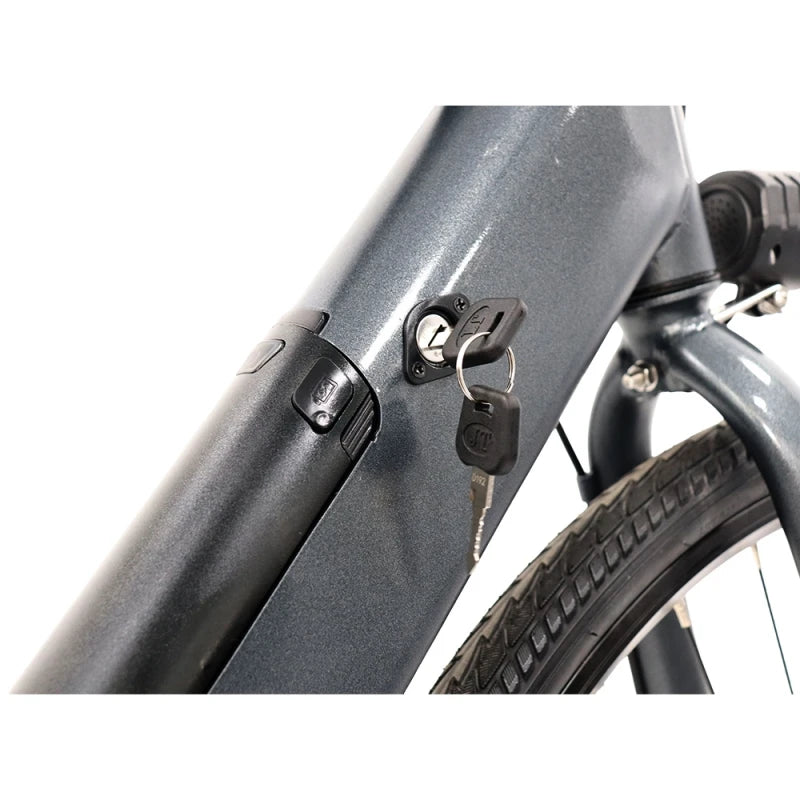 Freego E-Bike for adults Electric Bike 36V Battery E-Mountain Bike 7 speed LCD Display Electric Bicycle UL 2849 2 Year Warranty