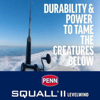 6'6" Saltwater Fishing Rod and Reel Combo, 1-Piece Design, Black/Gold Finish
