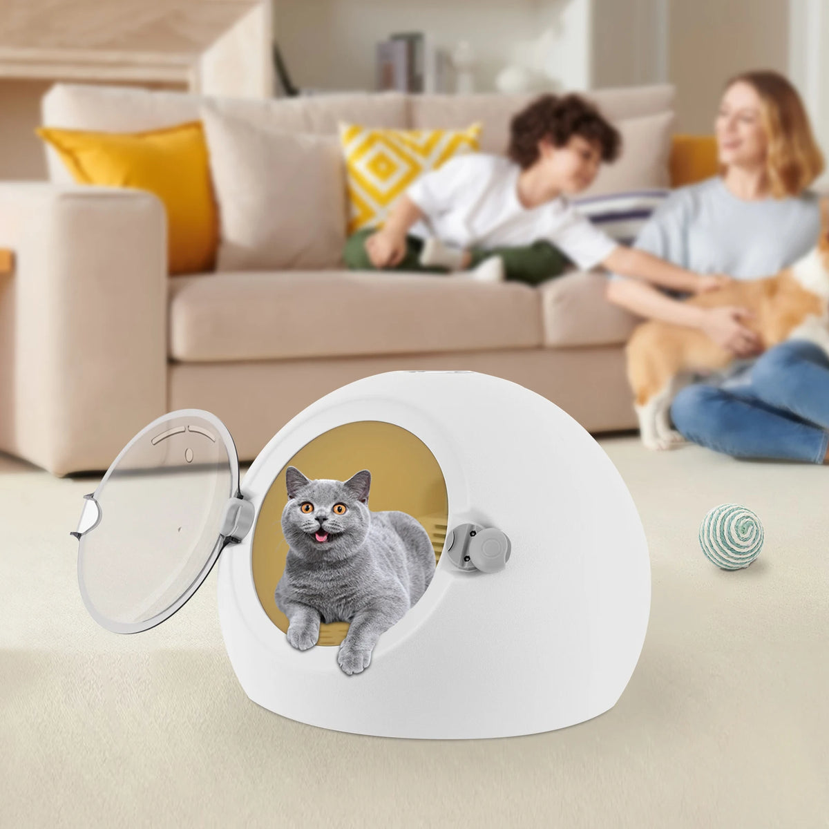 600W Pet Dryer Machine Portable Cat Dryer Box Puppy Drying Machine
