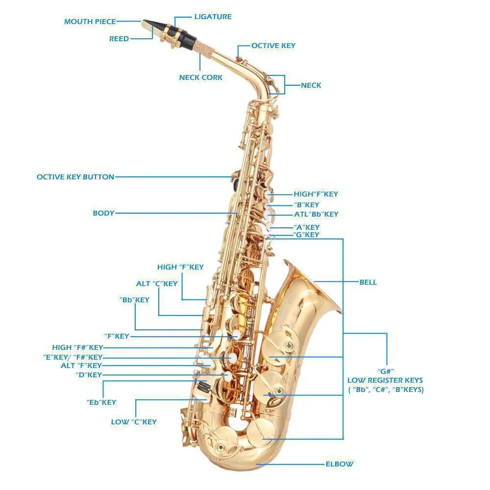 Eb School Band Alto Saxophone Sax Student E Flat F Key With Case