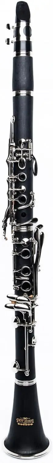 Bb Clarinet Set for Students & Beginners, Complete with Accessories, Easy to Play and Maintain