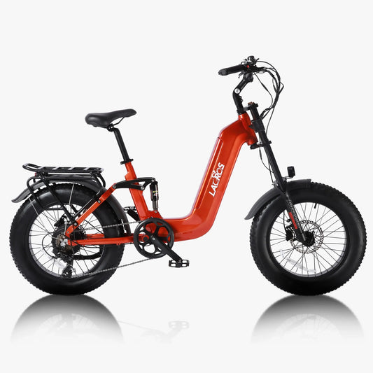 Lacros Cyclone adult E-bike，750W city ebike，48V20AH Electric Bike，20 Fat Tire E-Mountain bike