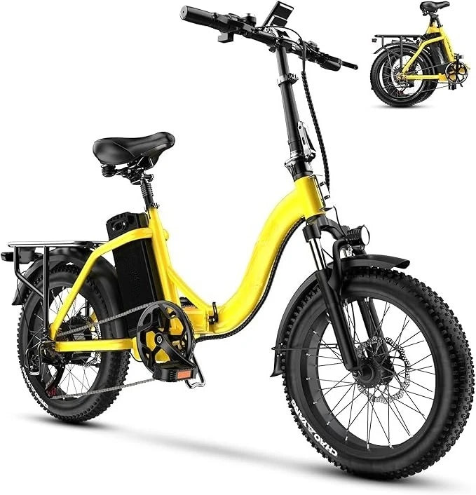 Luxury Adult Folding Electric Bike: 1000W Motor, 48V 20AH Battery, 30MPH, 80 Miles Range, 20 Fat Tires, 7-Speed