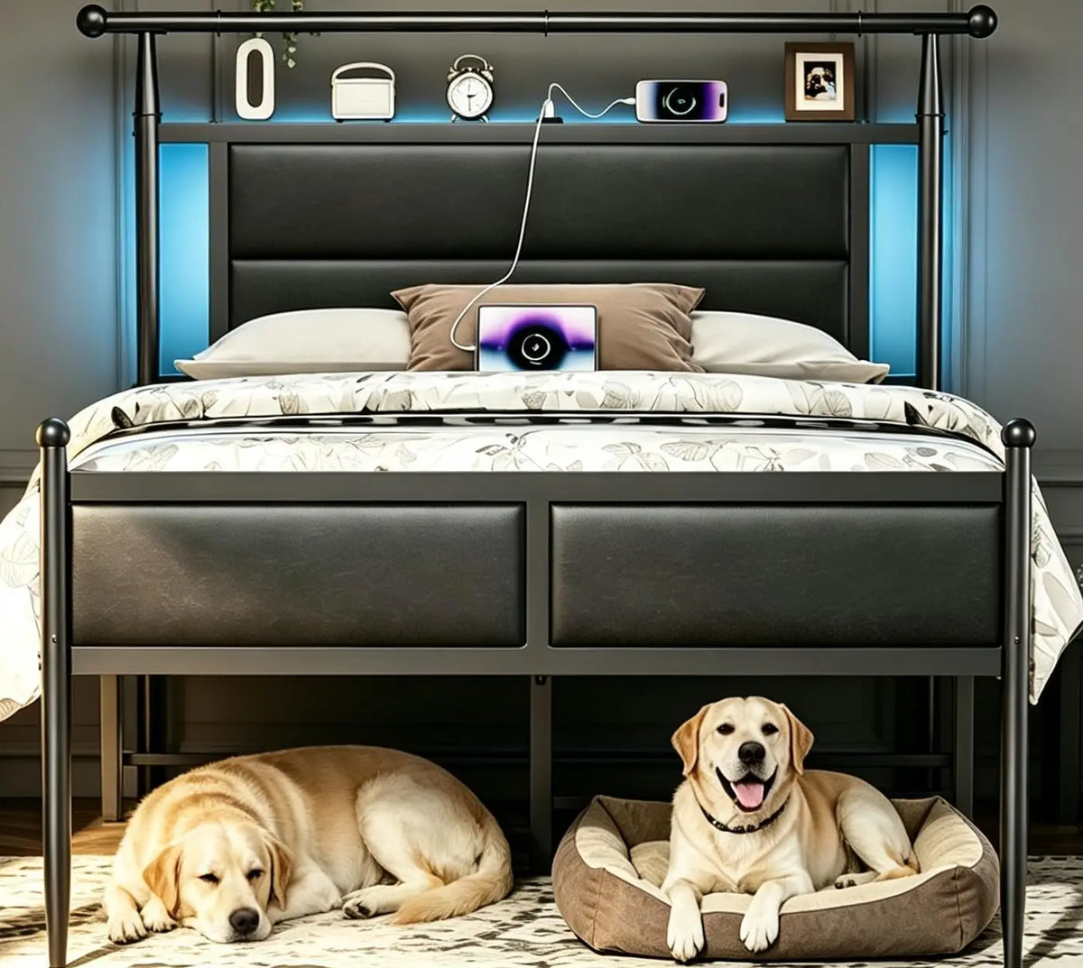 20 Inch Tall Bed Frame Queen Size with Headboard and LED Lights, Black