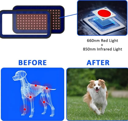 Red Infrared Light Therapy Belt for Pets Pain Relief 660&850nm wavelength Portable Cold Laser Therapy Device for Dogs Arthritis