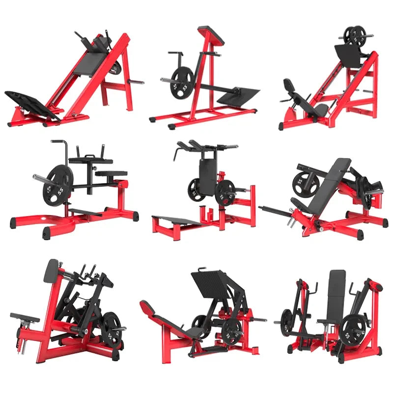 Kingace Commercial Sport Strength Training Seated Biceps Curl Machine Plate Loaded Fitness Equipment for Gym Use
