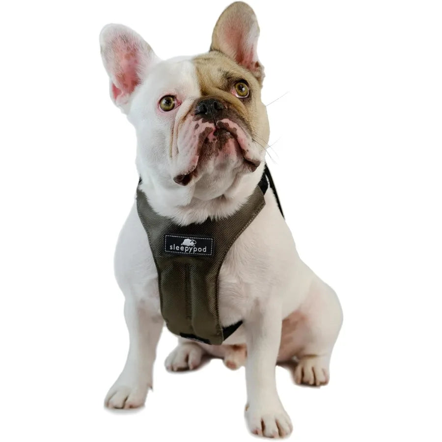 Clickit Sport Plus Crash-Tested and Safety Certified Car Seat Belt Harness for Dogs in Medium Size Olive Green Ideal for Secure