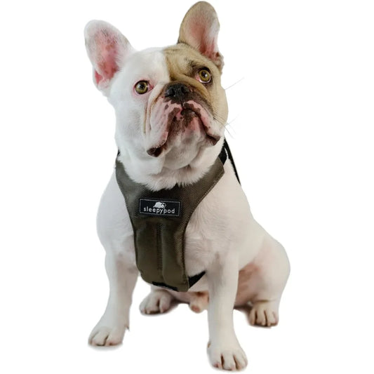 Clickit Sport Plus Crash-Tested and Safety Certified Car Seat Belt Harness for Dogs in Medium Size Olive Green Ideal for Secure