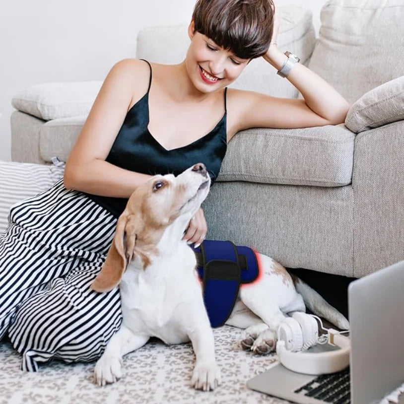 Red Infrared Light Therapy Belt for Pets Pain Relief 660&850nm wavelength Portable Cold Laser Therapy Device for Dogs Arthritis