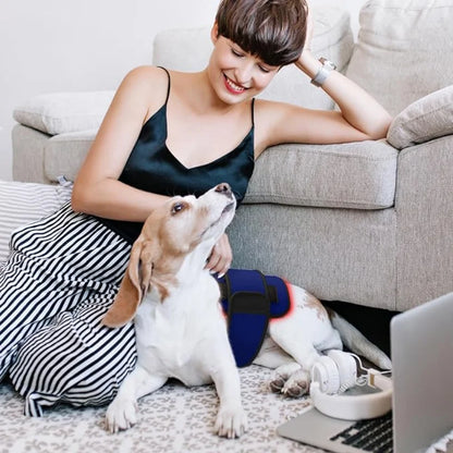 Red Infrared Light Therapy Belt for Pets Pain Relief 660&850nm wavelength Portable Cold Laser Therapy Device for Dogs Arthritis