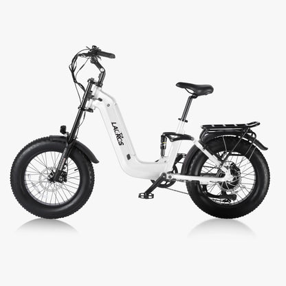 Lacros Cyclone adult E-bike，750W city ebike，48V20AH Electric Bike，20 Fat Tire E-Mountain bike